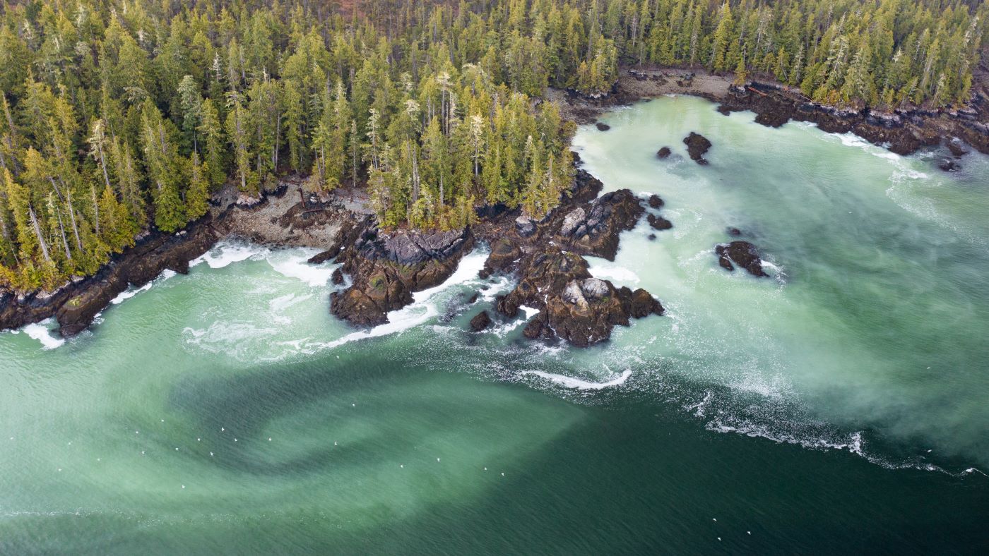 A rocky forest-covered coastline with greenish white waves hitting the shore