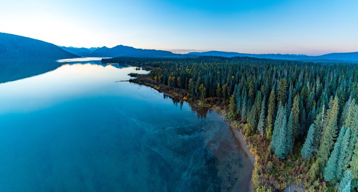 The Meziadin Indigenous Protected Area, which the transportation route will pass through for the Eskay Creek project (Photo: VoVo Productions)